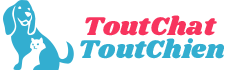 Tout chat Tout chien