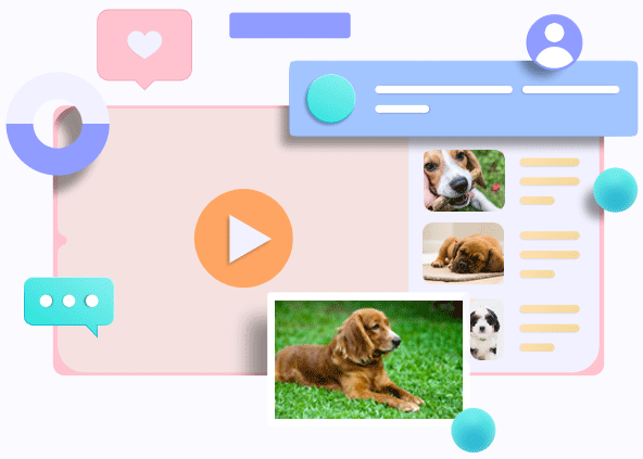 Annonces Tout Chat Tout Chien