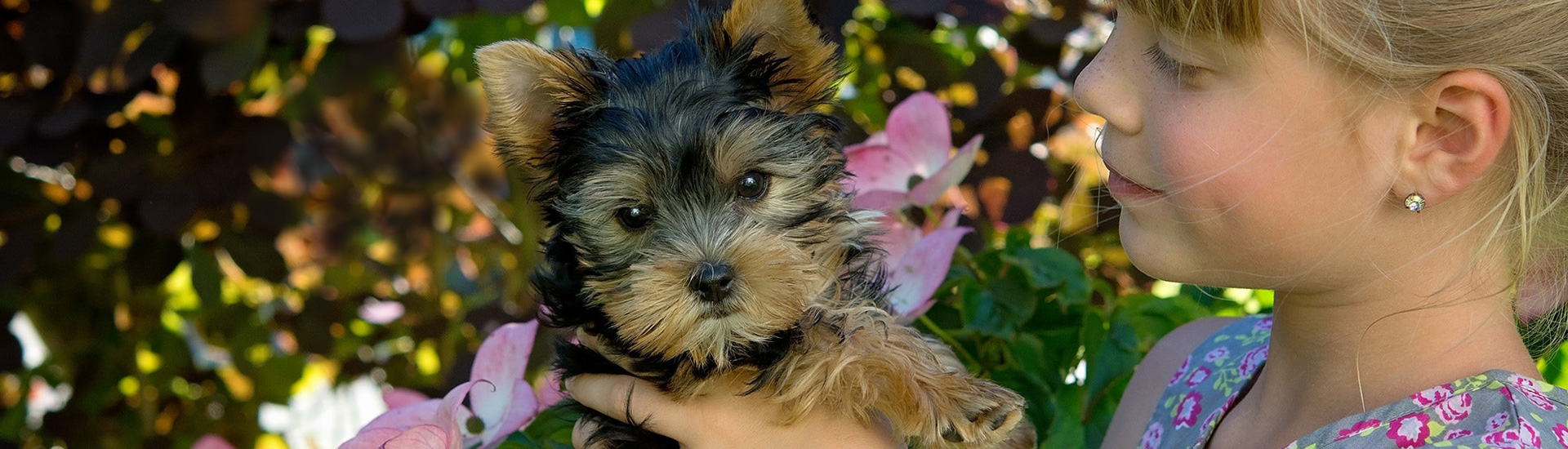 jeune fille et chien