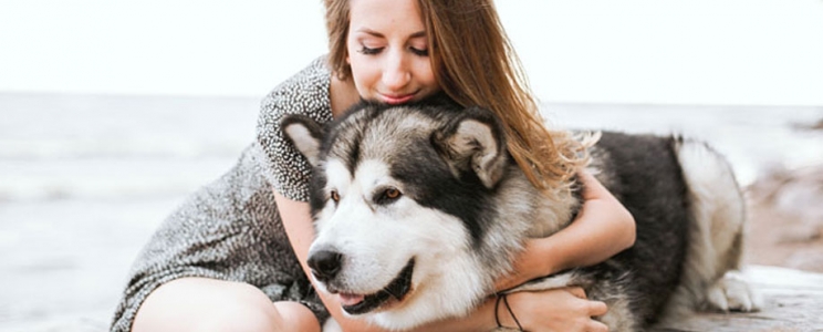 Les 7 questions à se poser avant d’adopter ou acheter un chien