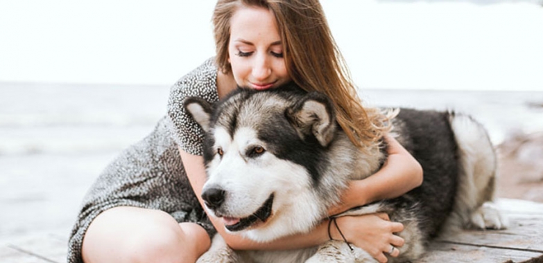 Les 7 questions à se poser avant d’adopter ou acheter un chien