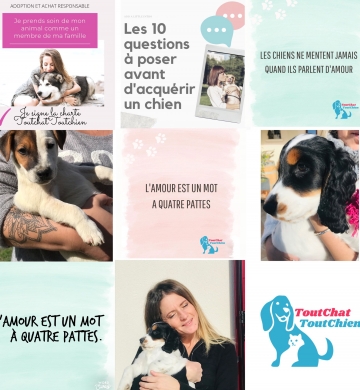 Chien don particulier