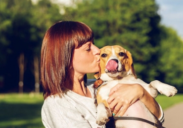 TEST : Etes-vous prêt à avoir un chien ?