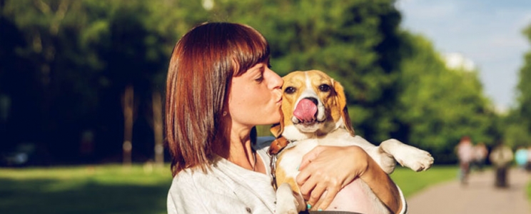 TEST : Etes-vous prêt à avoir un chien ?