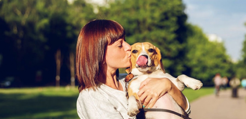 TEST : Etes-vous prêt à avoir un chien ?